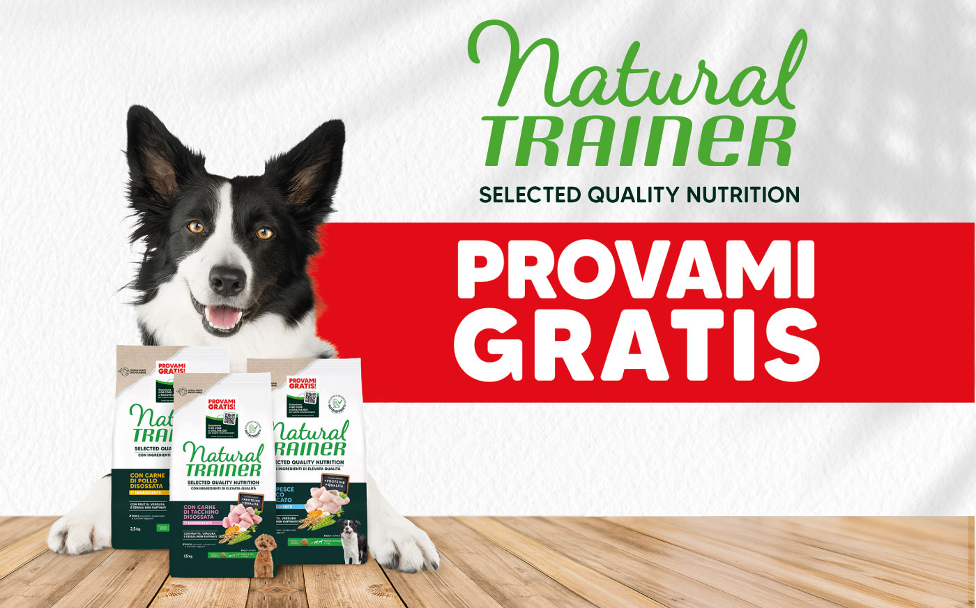 header versione mobile PROVAMI GRATIS!